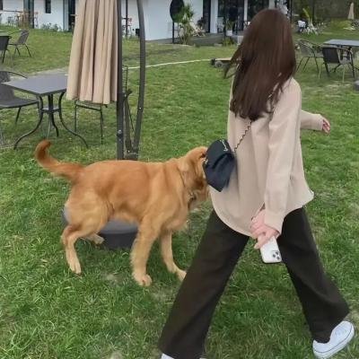 摇椅