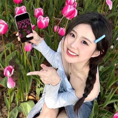高山下的花环